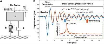 Spatial Assessment of Heterogeneous Tissue Natural Frequency Using Micro-Force Optical Coherence Elastography